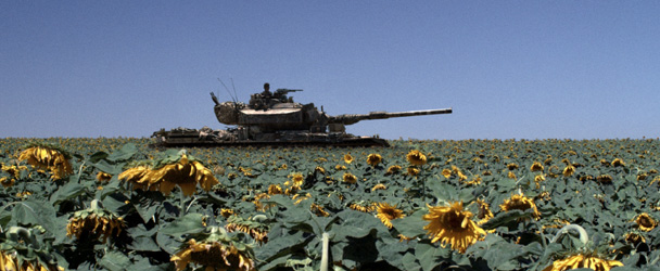 Lebanon_Sunflower_Field