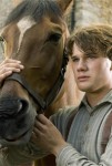 War Horse