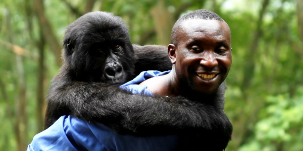 Virunga